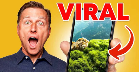 Qu'est ce qui rend la Sea Moss si populaire ?